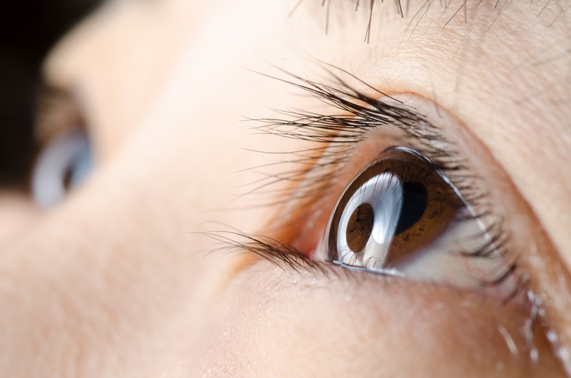 Temecula Eye Center Optometry logo